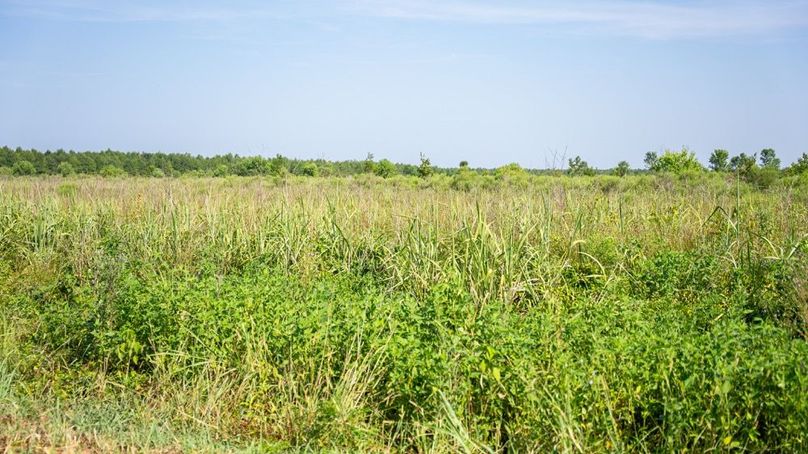 MadisonParLa1372-118