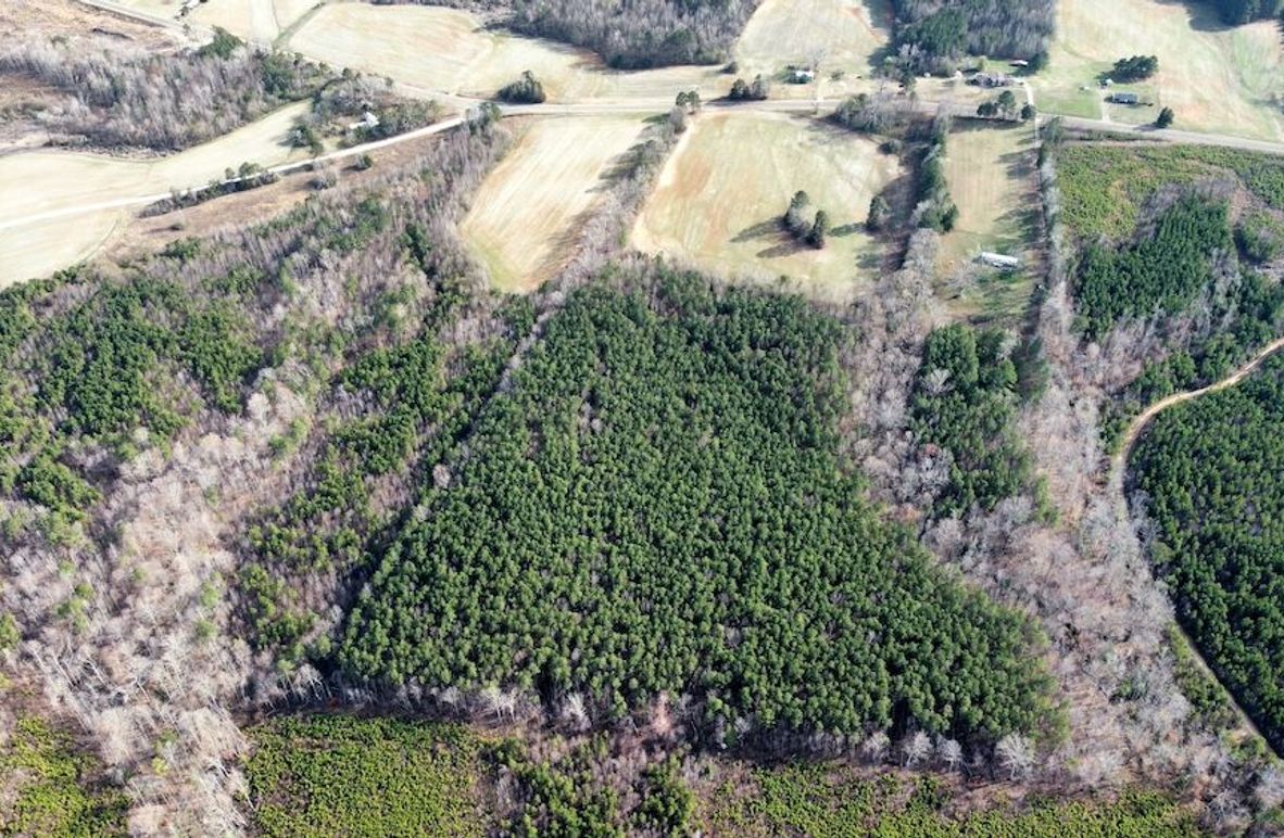 dji_fly_20250319_164628_442_1742417195433_photo_optimized