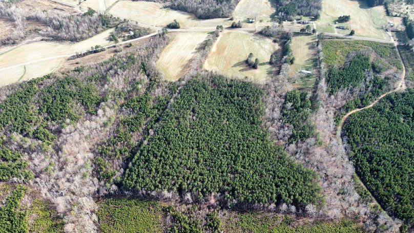 dji_fly_20250319_164628_442_1742417195433_photo_optimized