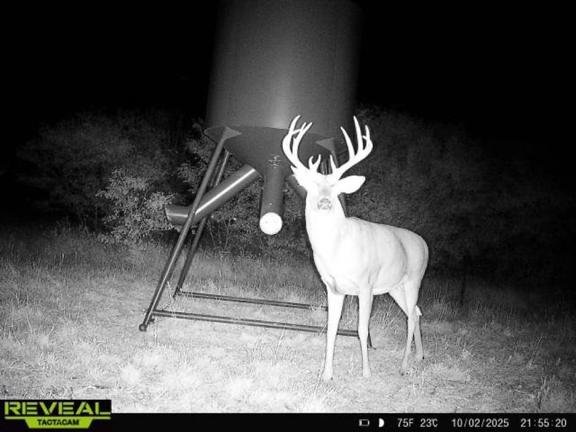 865977050266538-1-4-10022025215520-W1014571