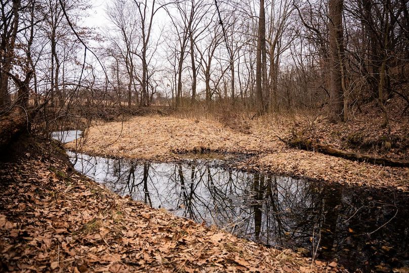 Pike IL 96.87 Adv Pro Photo-41