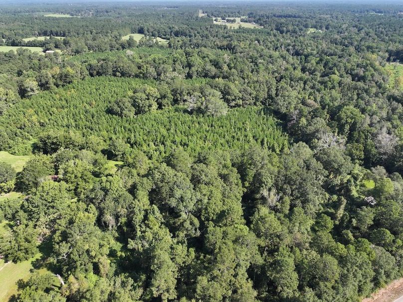 dji_fly_20250903_101434_0392_1757089044507_photo