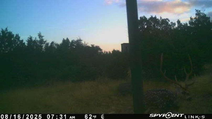 PICT3027_202508161231ZtlP6