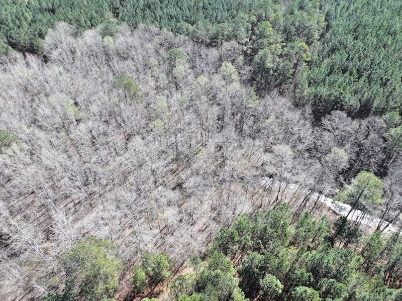 010AE - 257 Acres - Drone-12