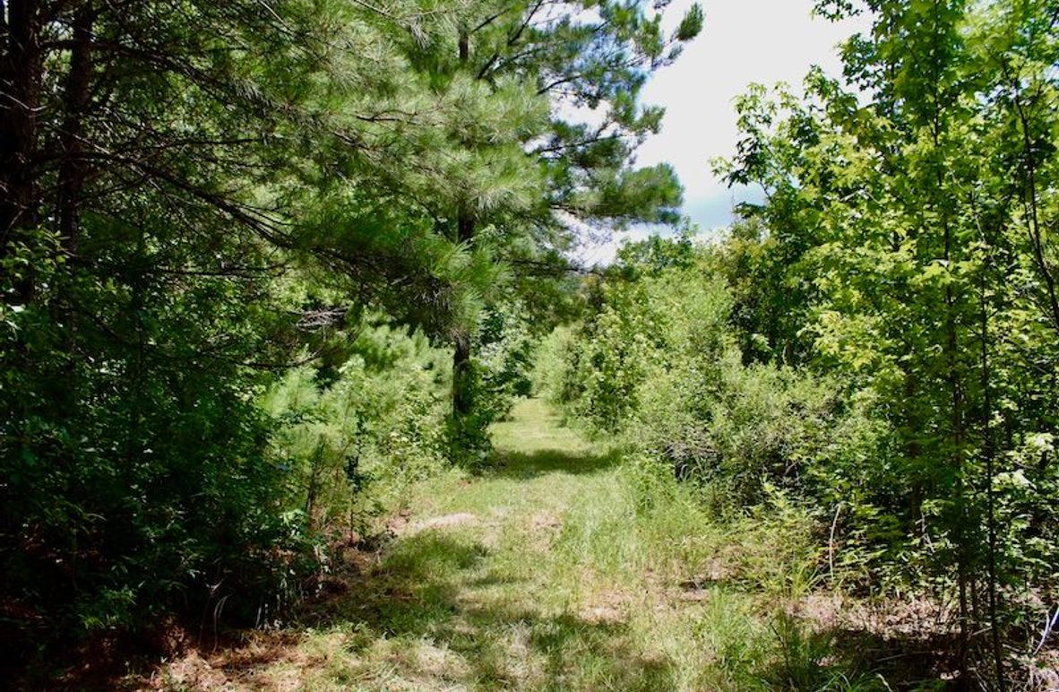 3BB0C5E4-0EBC-4CA1-952D-1C30BB2D4EAE_1_201_a