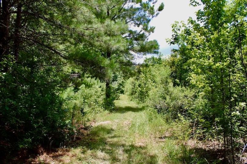 3BB0C5E4-0EBC-4CA1-952D-1C30BB2D4EAE_1_201_a