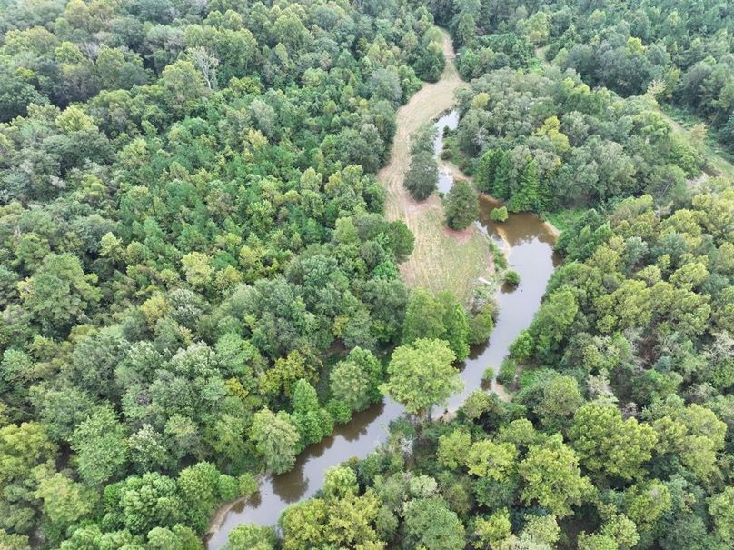 dji_fly_20250924_092522_0518_1758726291743_photo