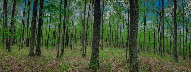 Doddridge, WV 64.69 AC Davis-27