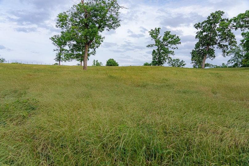Holman Ranch-58