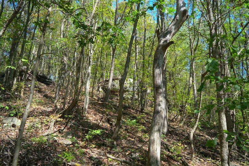 Fayette, 199, Hostetler-32