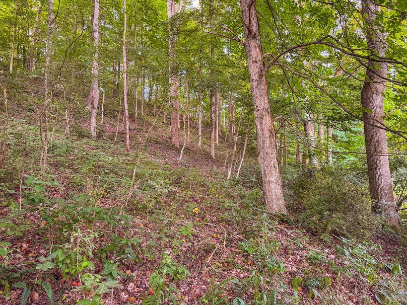 Ritchie, WV 127 AC Robinson-85