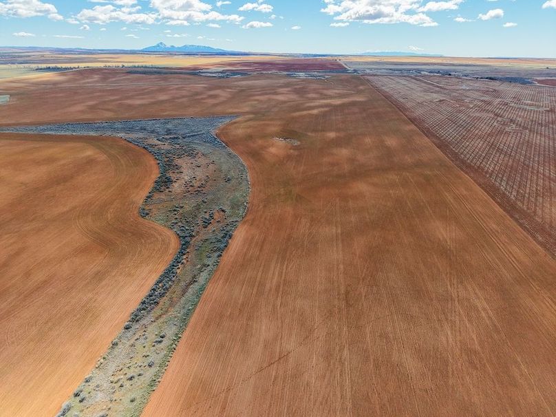 DJI_20260307124944_0082_D