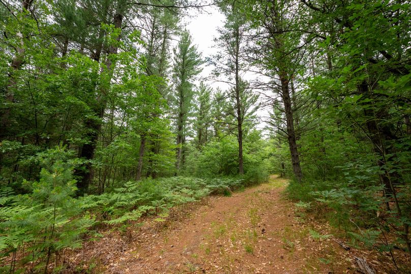 Ogemaw MI 475 Featured Pro Photo-01369