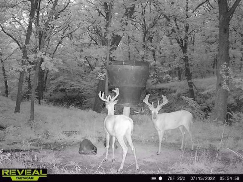 71aa10d1-a0dc-4f84-8b05-1ce21cf84da9