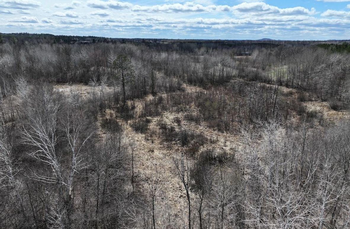 dji_fly_20260428_155522_0767_1777474365748_photo