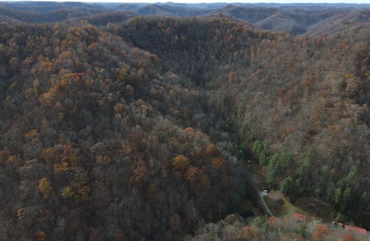 003 Scenic aerial capturing the southwest fork_s mature hardwood canopy