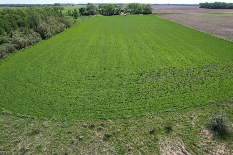 dji_fly_20260528_103348_358_1779982481718_photo