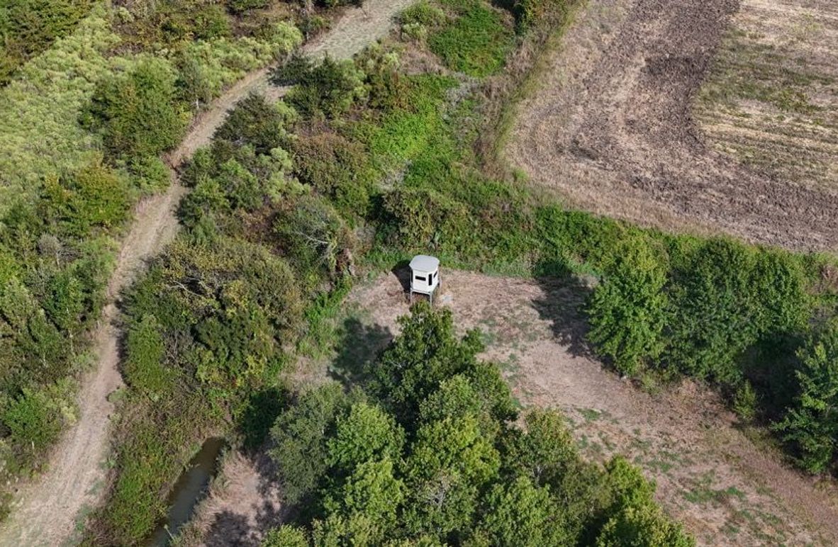DJI_20251009043639_0782_D (1)