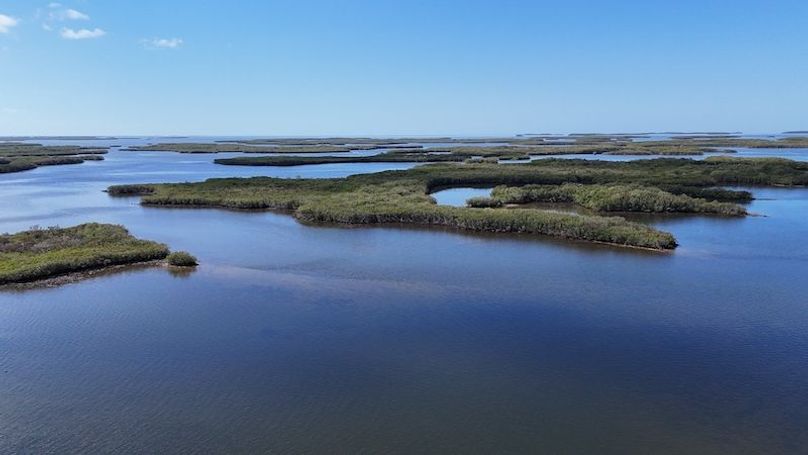 17.17ac, Citrus, Josiah Ronco16