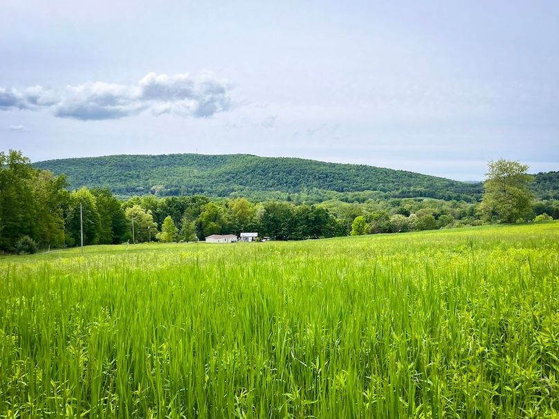 Tioga_31.4_Kemp_Photos_24