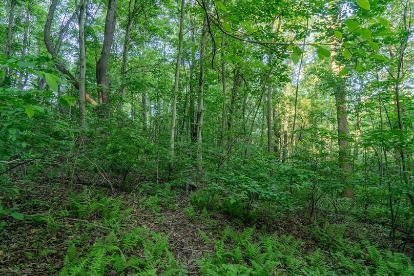 Listing 4-36