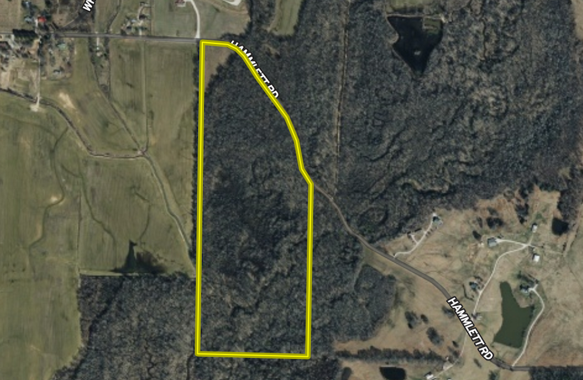 Screenshot 2026-03-25 at 11.01.13 AM