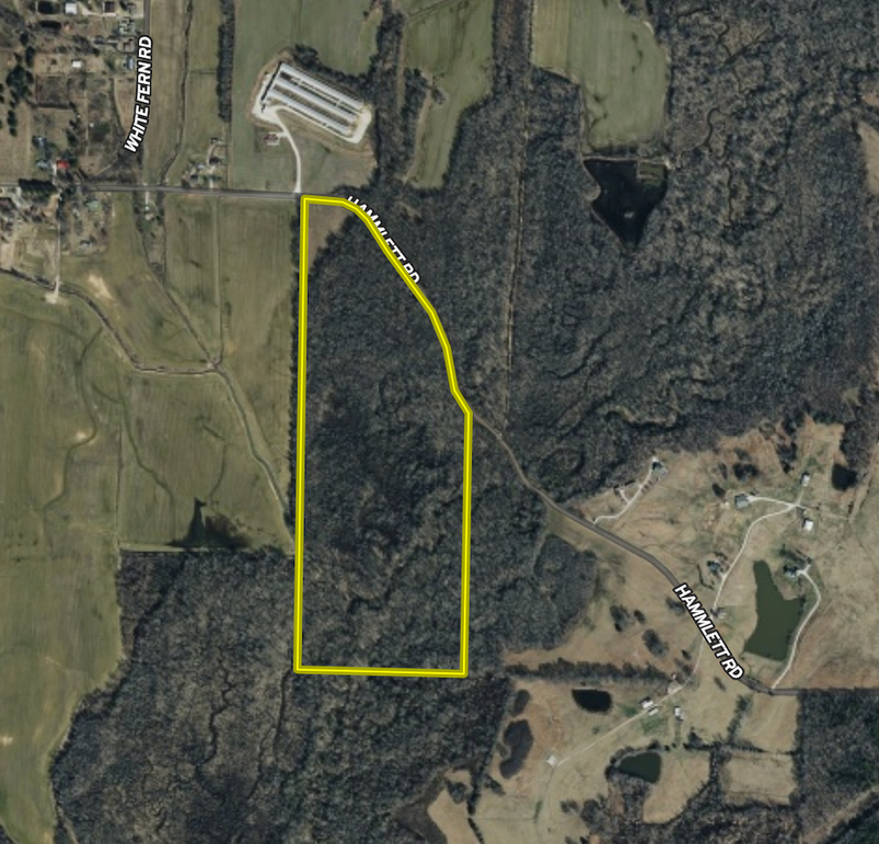 Screenshot 2026-03-25 at 11.01.13 AM