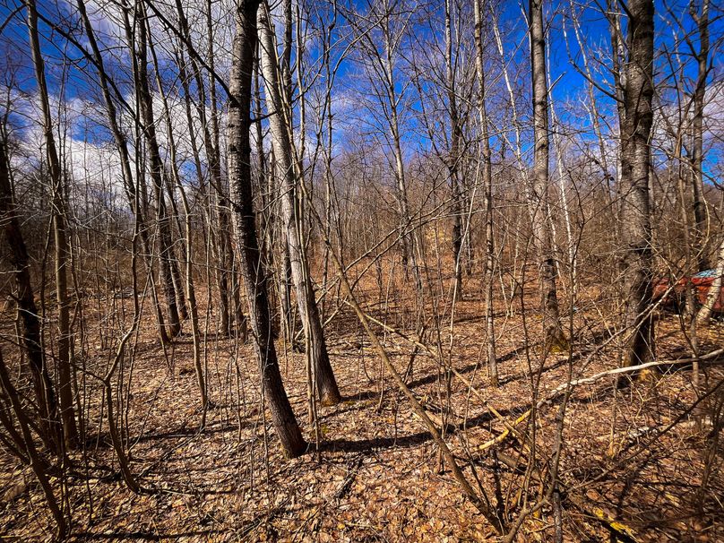 Oswego_165.52_Lashomb_Photos_42