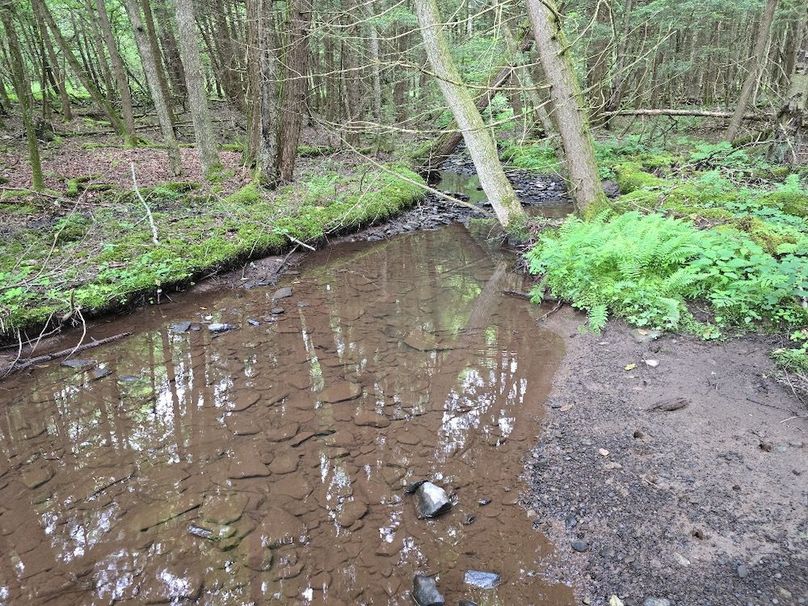 photo_c24a68ad-5544-476d-a019-da5a15dfaba9