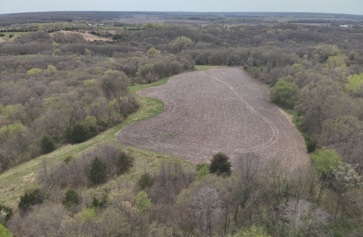 DJI_20250424131254_0009_V