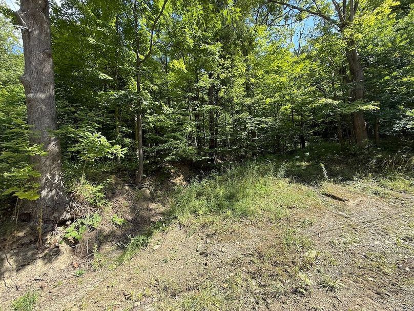 Ontario_2.7_Proseus Photo 26