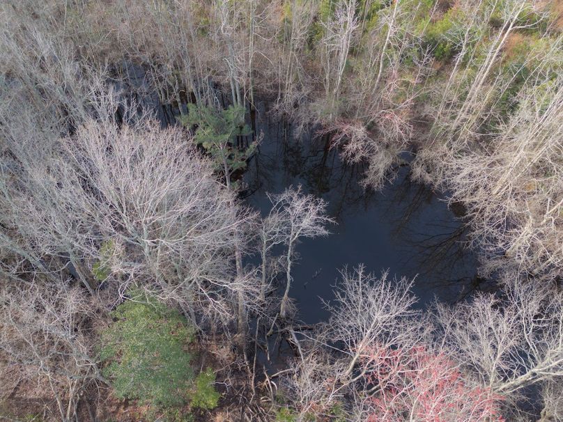 DJI_20240227083318_0028_craven60