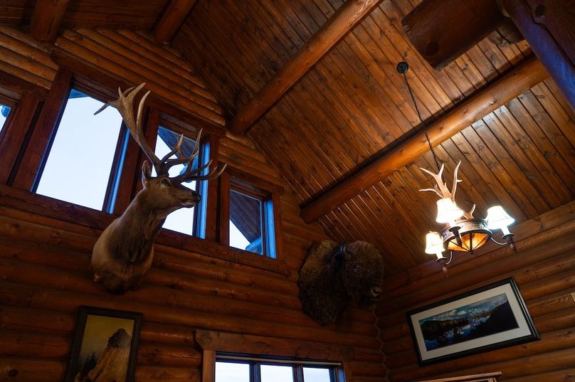 D505E12A-6B0F-4F1B-923E-096F773B2E10