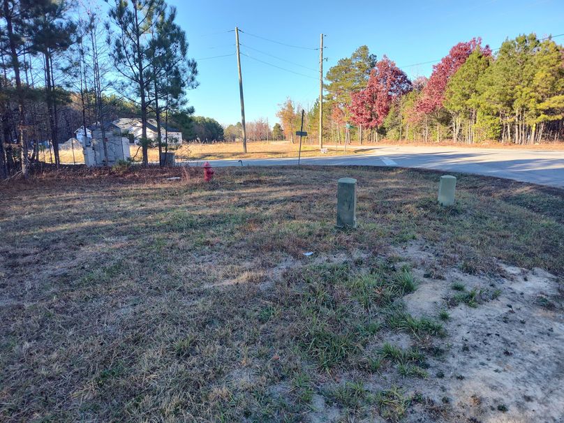 IMG_20231119_144249308_HDR