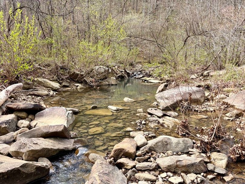 13C8BD90-63ED-4EA8-BF15-D8A00E4FDCA2_1_201_a