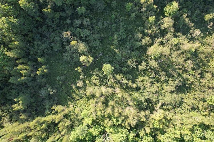 Jefferson_260.3_ Lobach_Photos_73