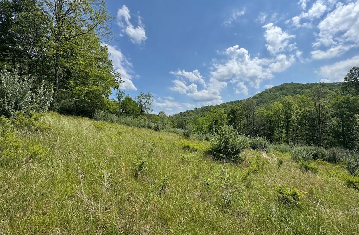 Calhoun, WV 29 AC Minney-03