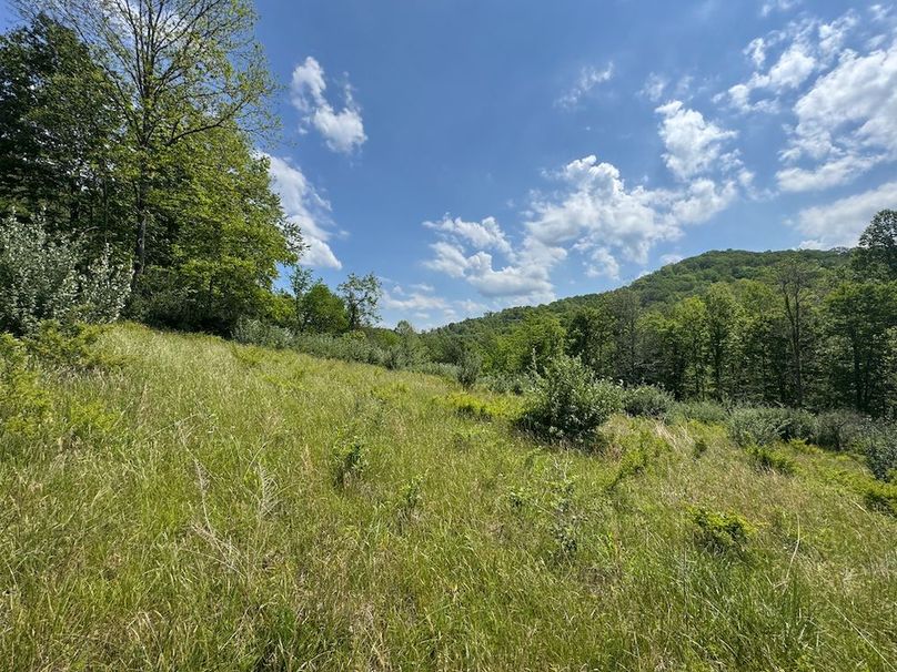 Calhoun, WV 29 AC Minney-03