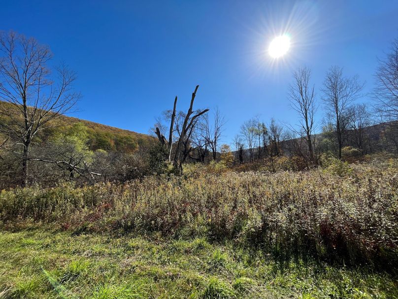 Schuyler_25.155_Ennis_Photos_20