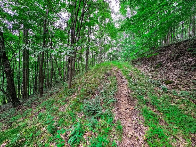 Doddridge, WV 15.68 AC Bonnett-66