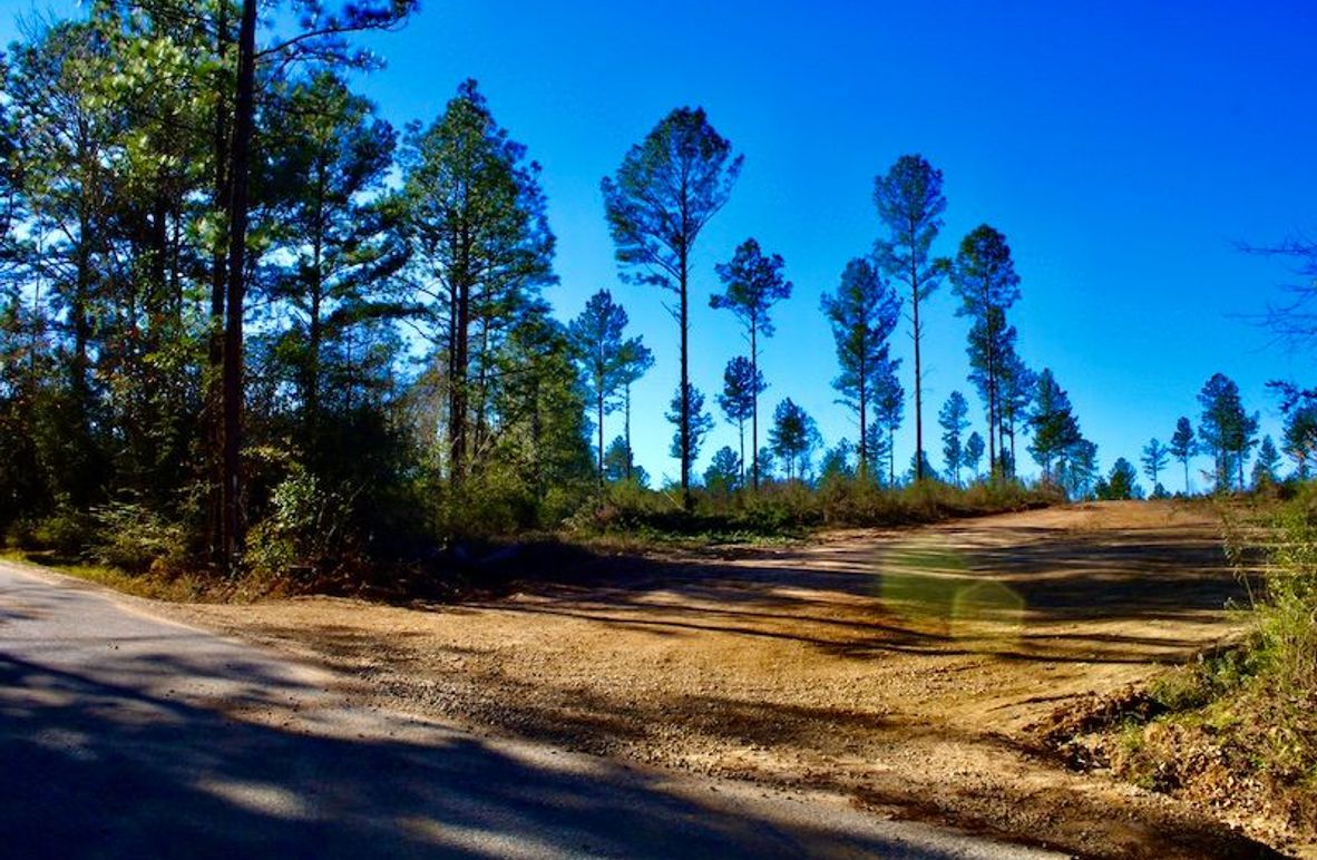 0A425F89-1D02-4487-901D-A9BEB33C632D_1_201_a