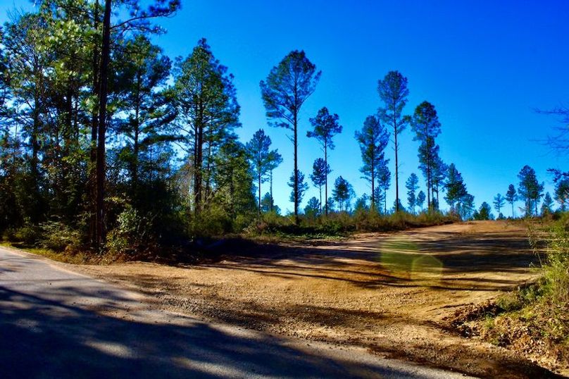 0A425F89-1D02-4487-901D-A9BEB33C632D_1_201_a