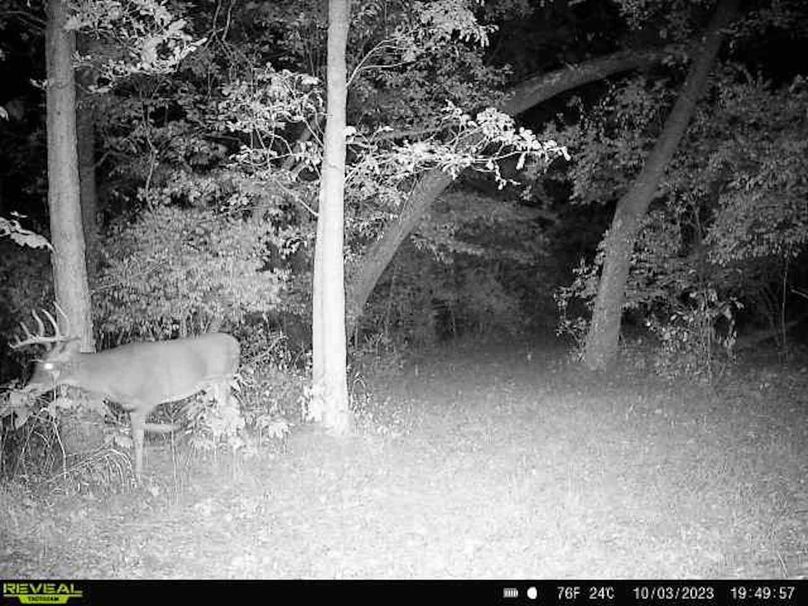 bd1ec72f-0647-4581-88c0-d687228bf17a