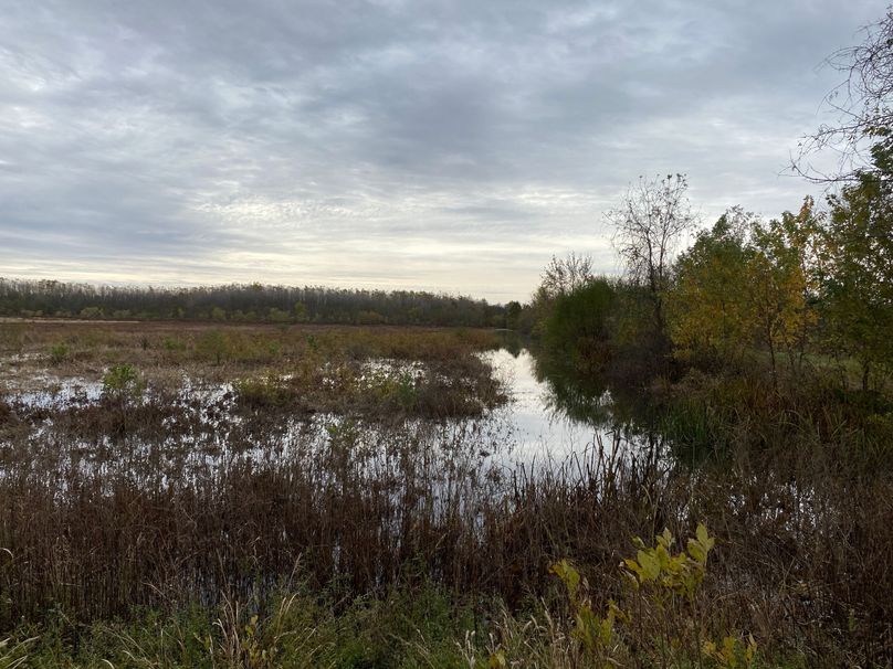 pics from late 2021 and early 2022. New plots being planted in Aug 2023 for new pics (20)