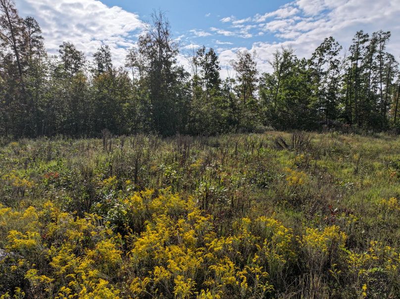 DJI_20250925100646_0708_D