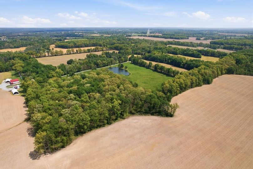 33-web-or-mls-DJI_0771