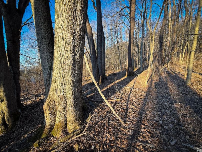 Cayuga 32 Stoyell Photos 57