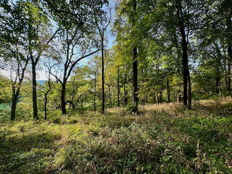 Richland 199Ground - 60