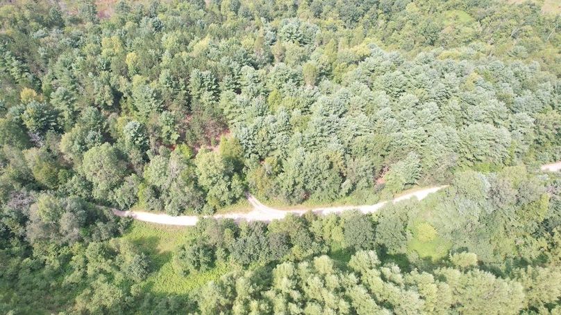 dji_fly_20250804_153246_494_1754355810390_photo