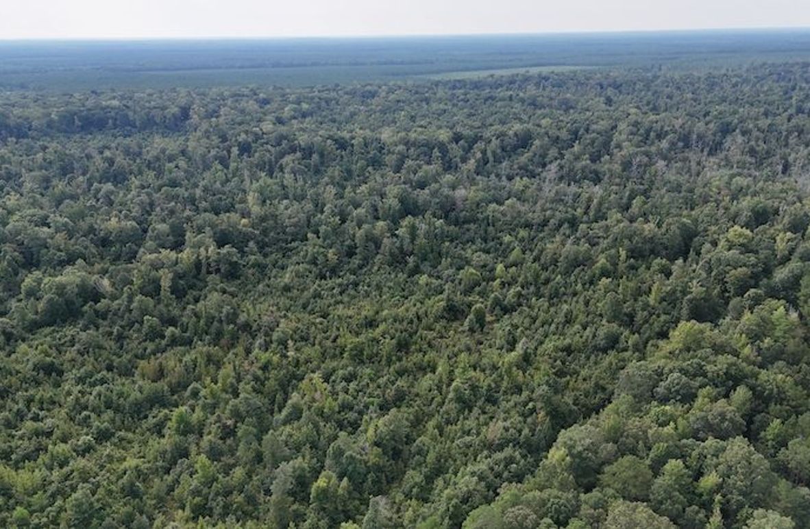 DJI_20250814091825_0059_D